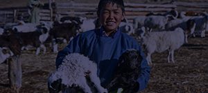udirtgal-banner